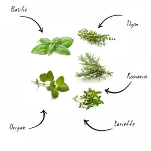 Kit prêt à pousser herbes provence bio