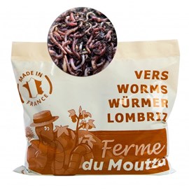 250gr de vers de compost lombric