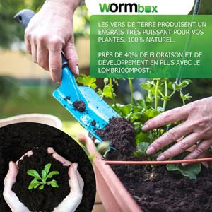 Lombricomposteur wormbox 3 plateaux, 48l