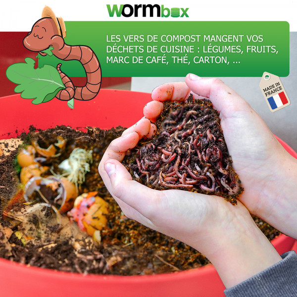 72 litres Lombricomposteur WormBox 4 Plateaux Vert Anis et jardinière Recyclez Vos déchets organiques en Engrais pour Vos Plantes 