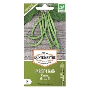 Haricots nain cupidon bio - graines à