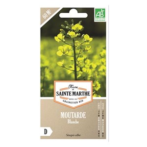Graines à semer - moutarde blanche bio