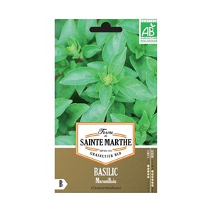 Basilic marseillais bio - graines à