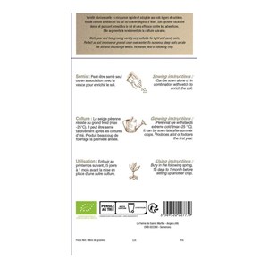 Graines à semer - seigle bio