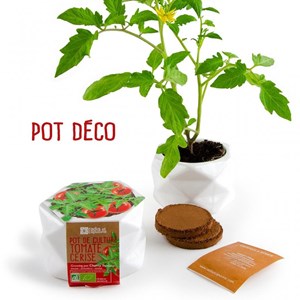Pot origami grand modèle tomate cerise