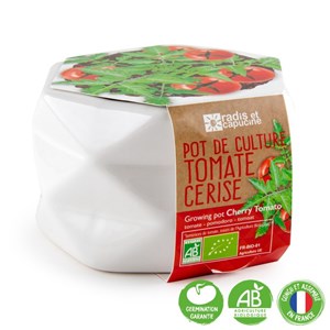 Pot origami grand modèle tomate cerise