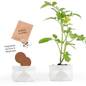 Pot origami grand modèle tomate cerise