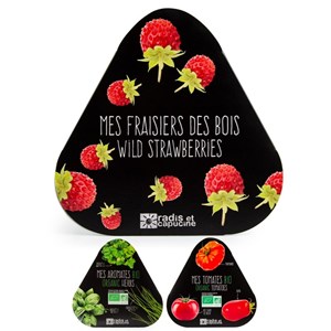 Jardinière zinc 3 aromatiques bio