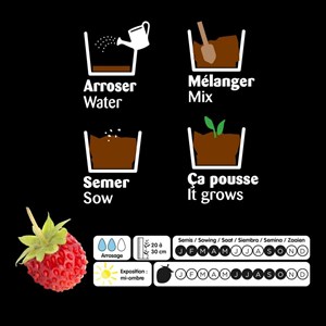 Jardinière zinc 3 aromatiques bio