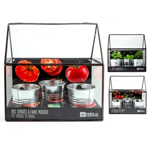 Serre châssis zinc noir - tomates