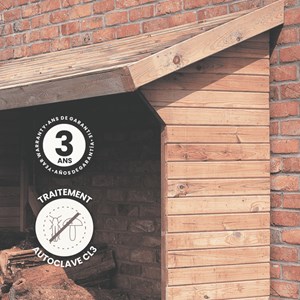 Abri-bûche en bois 203 x 114,5 x 221 cm memphis