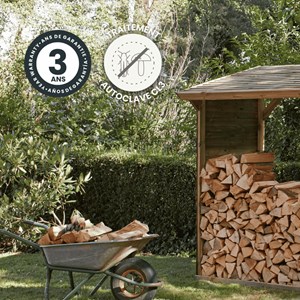 Abri-bûches en bois 203 x 114,5 x 410cm