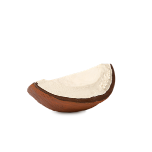Anneau de dentition coco la noix de coco