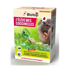 Kit d'élevage de coccinelles tout en 1 -