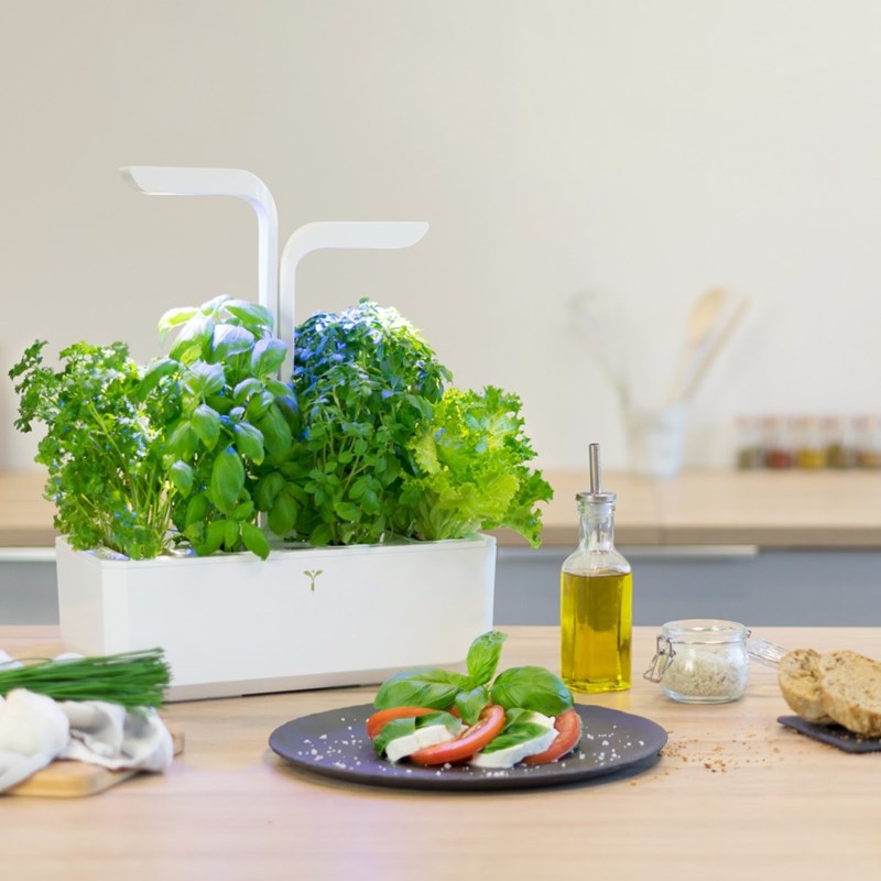 Potager autonome véritable classic