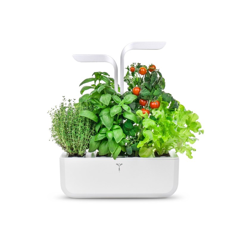 Véritable - Potager d'intérieur véritable classic