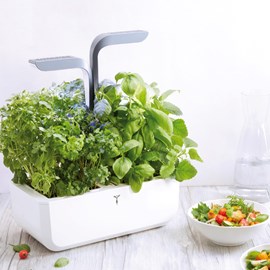 Potager autonome véritable smart aw