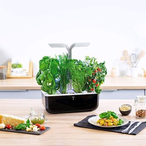 Potager autonome véritable smart sb