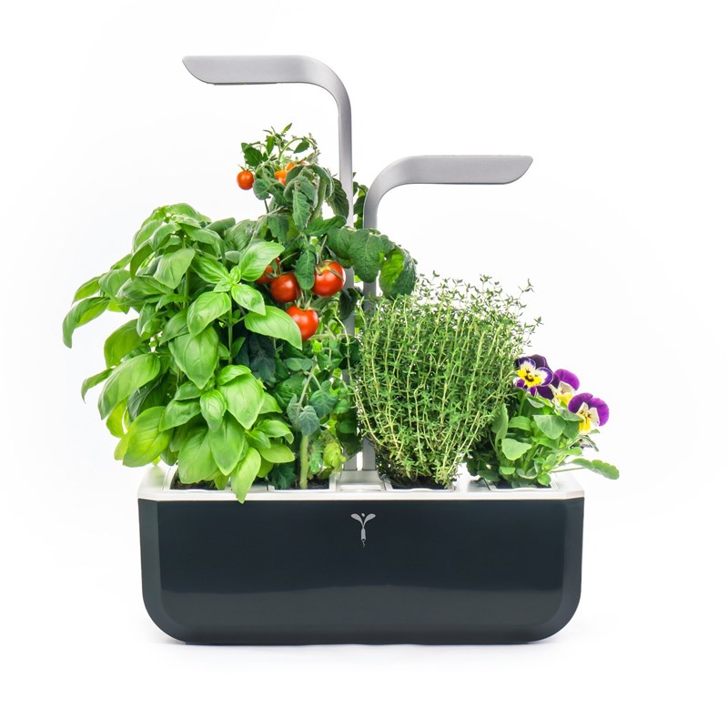 Véritable - Potager d'intérieur véritable smart