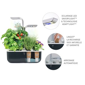 Potager autonome véritable smart sb