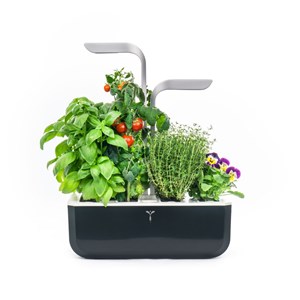 Potager autonome véritable smart sb
