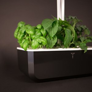 Potager autonome véritable smart sb