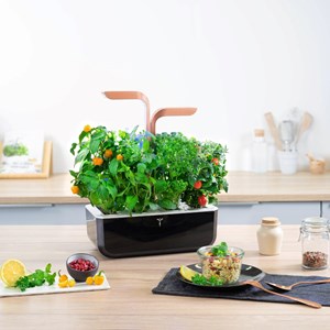Potager autonome véritable smart bc