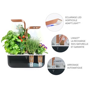 Potager autonome véritable smart bc