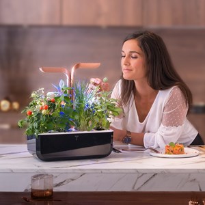 Potager autonome véritable smart bc