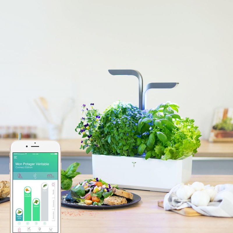 Potager autonome véritable connect ig