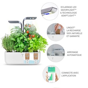 Potager autonome véritable connect ig