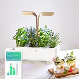Potager autonome véritable connect mg
