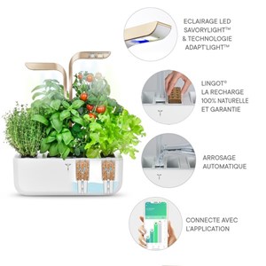 Potager autonome véritable connect mg