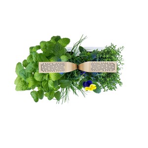 Potager autonome véritable connect mg