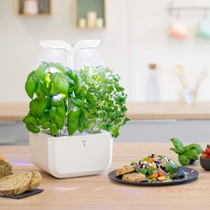 Potager d'intérieur auton. Exky classic