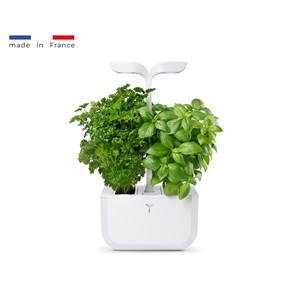 Potager d'intérieur auton. Exky classic