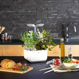 Potager d'intérieur auton. Exky smart aw