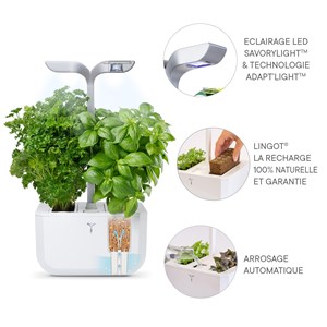 Potager d'intérieur auton. Exky smart aw