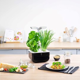 Potager d'intérieur auton. Exky smart sb