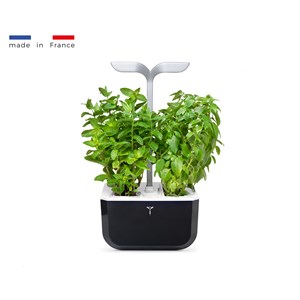 Potager d'intérieur auton. Exky smart sb