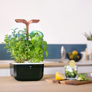 Potager d'intérieur auton. Exky smart bc
