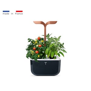 Potager d'intérieur auton. Exky smart bc