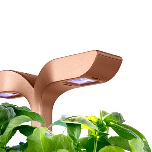 Potager d'intérieur auton. Exky smart bc