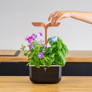 Potager d'intérieur auton. Exky smart bc