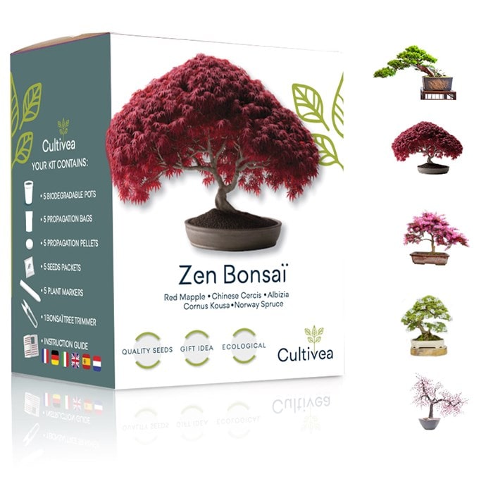 Grow2Go Bonsai Kit Avec Ebook Gratuit - Bonzai Set Avec Mini-Serre, Graines  Et Terre - Idée Cadeau Durable Pour Les Amoureux[u476] - Cdiscount Jardin