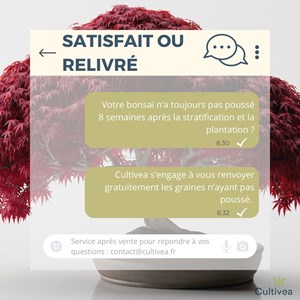 Kit prêt à pousser graines bonsai
