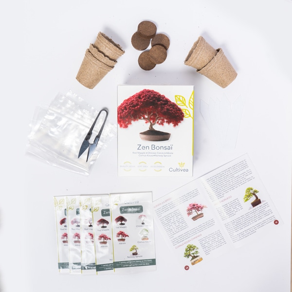 Grow2Go Bonsai Kit Avec Ebook Gratuit - Bonzai Set Avec Mini-Serre, Graines  Et Terre - Idée Cadeau Durable Pour Les Amoureux[u476] - Cdiscount Jardin