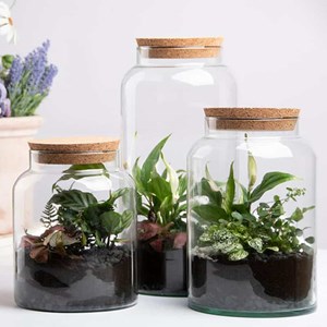 Pot pour terrarium 26 cm