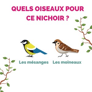 Nichoir maison en bois hauteur 19 cm