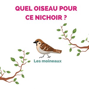 Nichoir maison en bois hauteur 25 cm